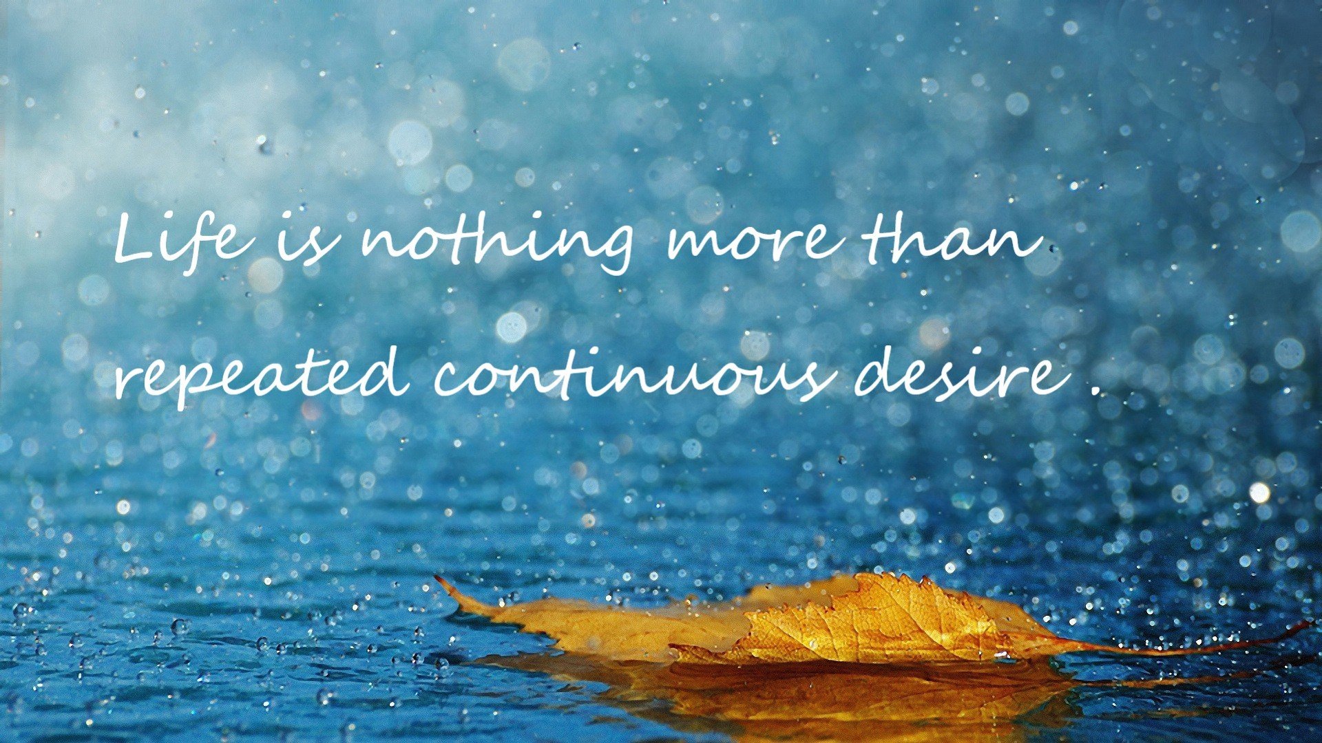 开云体育官方网入口-“中国女足备战世界杯，力量十足”，中国女足世界杯预选赛