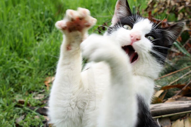 开云集团中国官网-德甲球队积极推动社区足球，弘扬足球文化，社区足球比赛活动策划方案